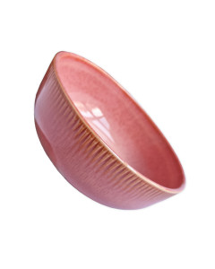 Rosa Bowl groß (6 Stk.) 2